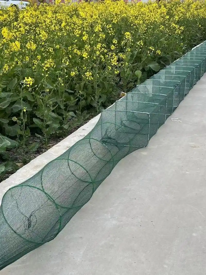 一分钟教你学会如何使用地笼捕鱼. 餐餐有鱼,顿顿有虾.