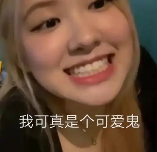 情包沙雕rosé朴彩英系列