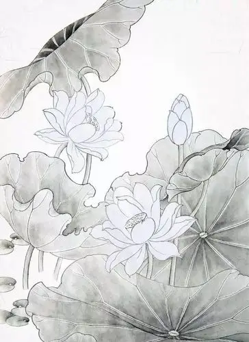 工笔画零基础教程:适合零基础学习的荷花工笔画步骤图解,收藏_花瓣