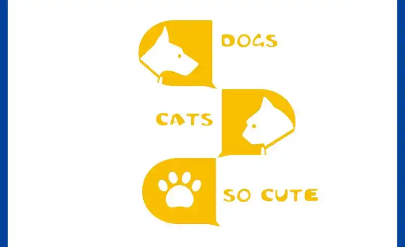 i pet i 爱宠爱·宠物生活馆