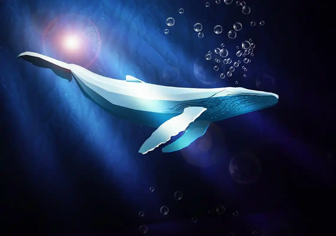 app设计时尚炫酷动感唯美简洁大气暖色治愈系启动页鲸鱼深海幽灵 绝无