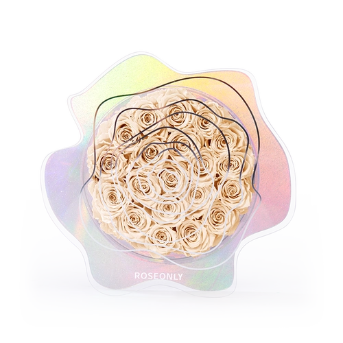 roseonly永生玫瑰花礼盒玫瑰星云21朵爱人女友生日永生花