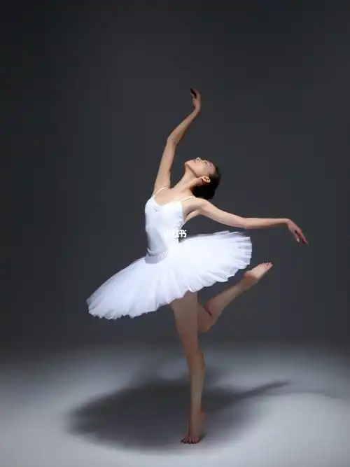 一个人的独舞芭蕾天鹅之翼