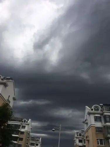 阴天,没犹豫跑出去,回来开始下雨,今天应该很完美!