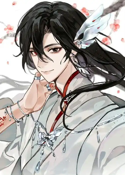 天官赐福图片##二次元新鲜事#白衣花城太帅了!