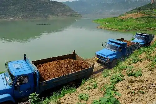 6月24日,运土车辆行驶在秭归县郭家坝镇的乡村