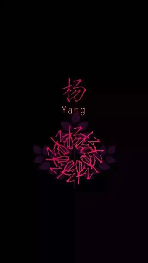 【姓氏】个性文字姓氏黑色背景锁屏壁纸