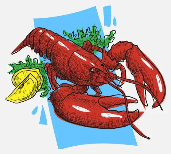 小龙虾线描插画(龙虾,海鲜,美食)手绘插图_北极熊素材库