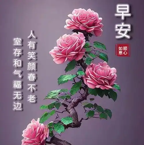 早安祝福问候语图片带字祝福大全,愿我们每天都健康,平安,幸福!
