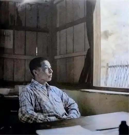 一 张学良与杨虎城的觉醒