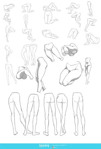 日系厚涂之腿部肌肉的透视关系