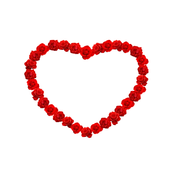 红色心形玫瑰花