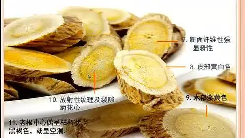 黄芪(北芪)的鉴别