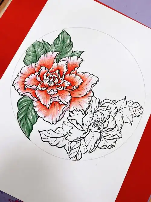 线描牡丹.简单的画法.