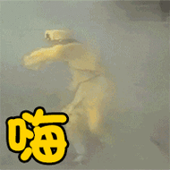 嗨起来_起来表情