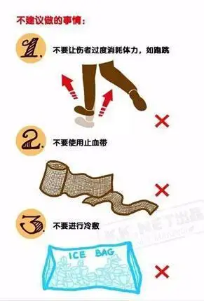 毒蛇咬伤的急救