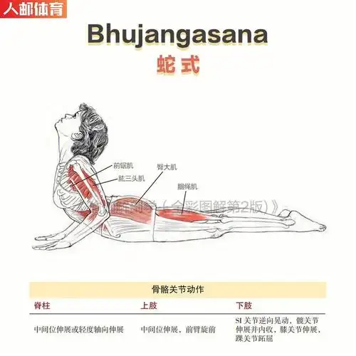 6个动作缓解疲劳#】上班伏案工作,下班腰酸背痛.