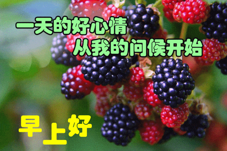 早上好问候朋友的暖心祝福短信微信早上好动态图片大全温馨