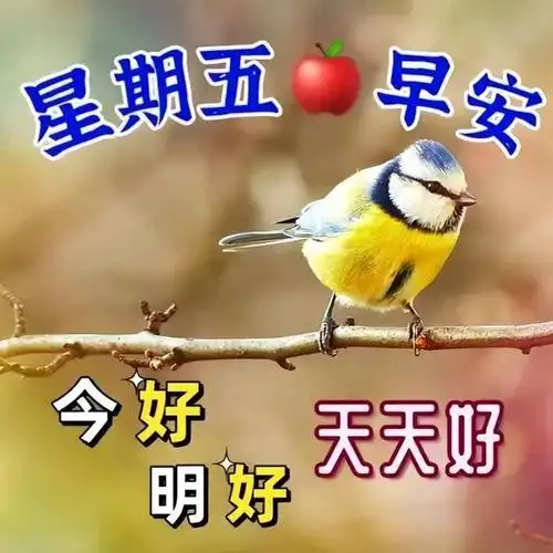 3月10日早上好美带字大全