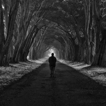 悲伤的酒如果有一天无法抹去我们的结局失语者惧人心°失忆的金鱼纵饮