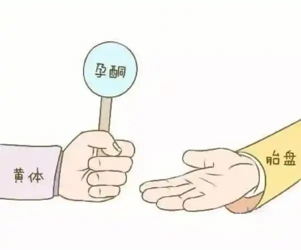 孕酮低就需要保胎71亲身经历告诉你答案75