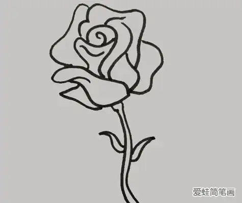 蔷薇简笔画