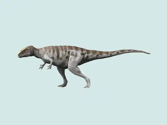 一分钟了解尼日尔龙