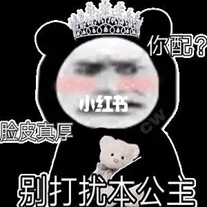 再来一波公主熊猫头表情包