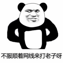 不服顺着网线来打老子呀_网线_不服_顺着_老子表情