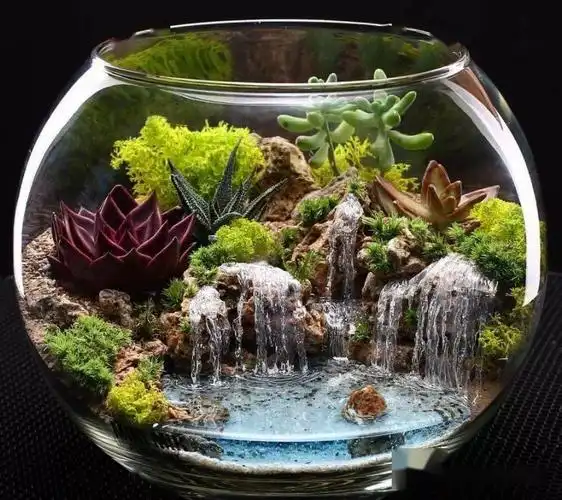 苔藓玻璃瓶微景观作品欣赏