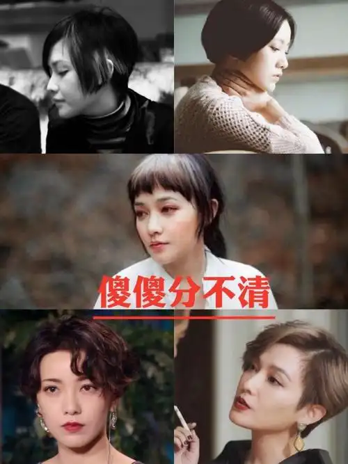 不少人都说郭采洁和范晓萱长得像,我也这么认为.