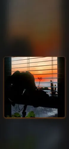 iphone x 壁纸 可爱壁纸 新年壁纸 动漫壁纸 个性壁纸 聊天背景 聊天