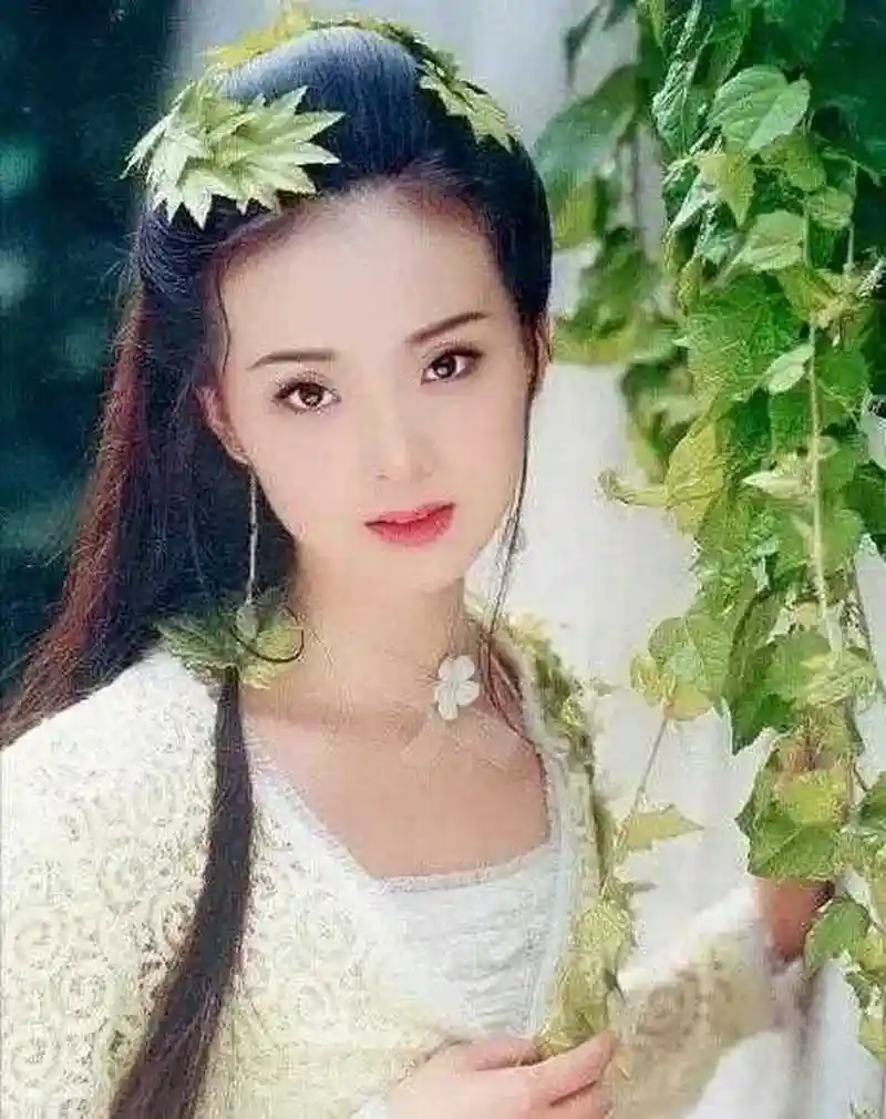 王艳《武林外史》中的七套服装造型,哪一款最美![蜡烛]