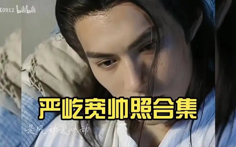 严屹宽帅照合集