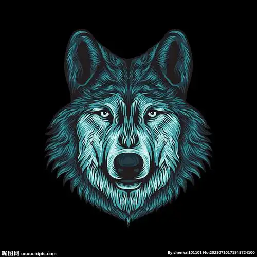 黑色背景狼头矢量插图插画素材