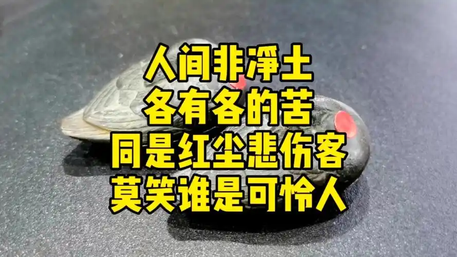 人间非净土,各有各的苦.本是红尘悲伤客,莫笑谁是可怜人.