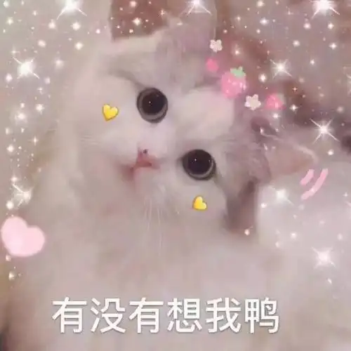 让女生听了瞬间红脸的"腻歪"表情包,杀伤力极强,撩到ta受不了