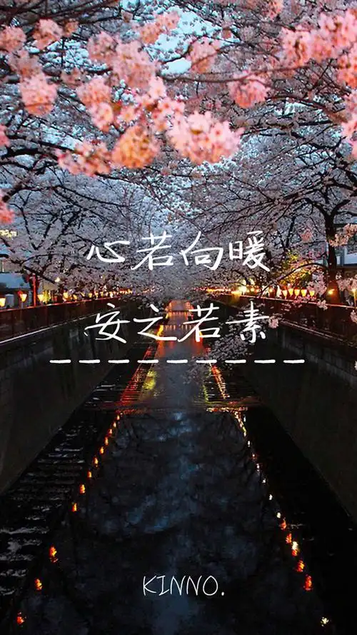 心若向暖安之若素