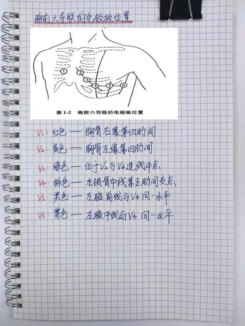 7315心电图十二导联位置及颜色记忆口诀:左手梨黄橙橙,右手