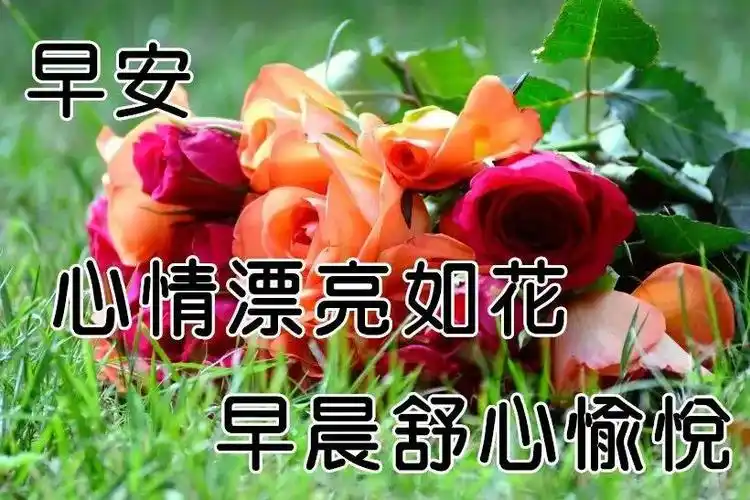 原创11月19日冬季清晨微信最美早安问候图片带字朋友圈亲人群早上好