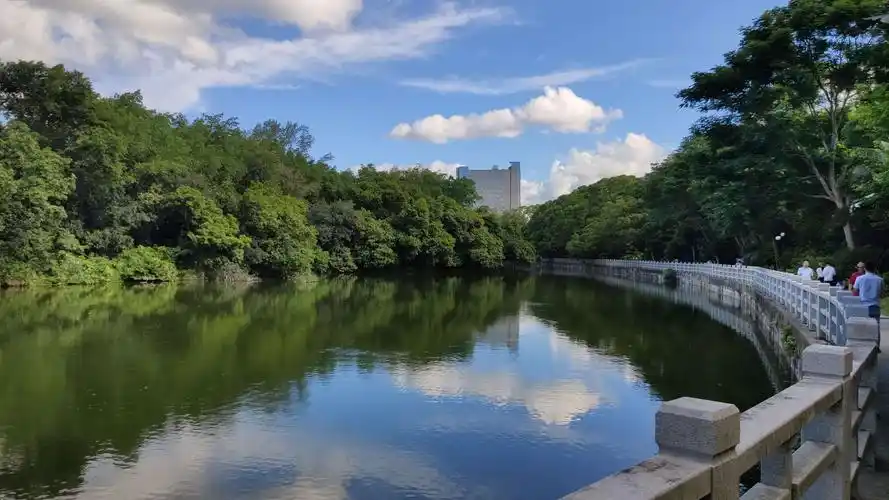 大暑的东湖公园很酷