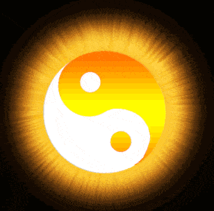 "易有太极,是生两仪,两仪生四象,四象生八卦.