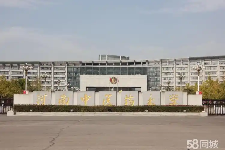 2020年医学类成人高考高起专,高起本专升本报名中