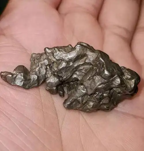 象形龙首阿根廷campo坎普铁陨石原石