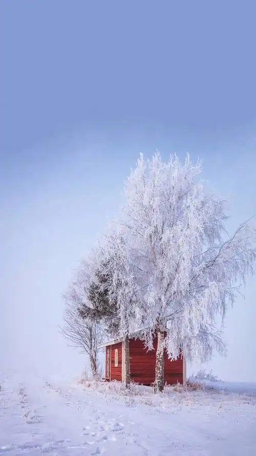 冬季雪景唯美风景手机壁纸图片