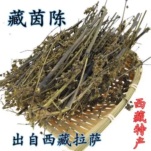 藏茵陈的功效与作用(藏茵陈的适宜人群和禁忌)-三七网