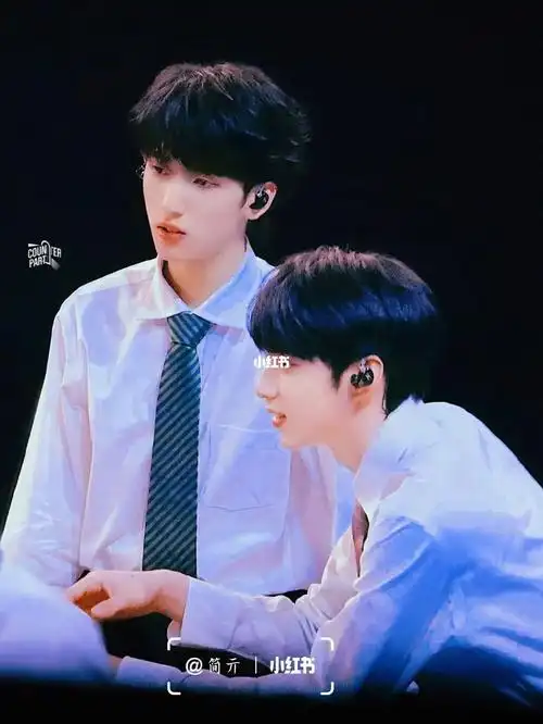 你是我最浪漫的梦里 那撒满了星星的夜 67#刘耀文 #严浩翔 #双