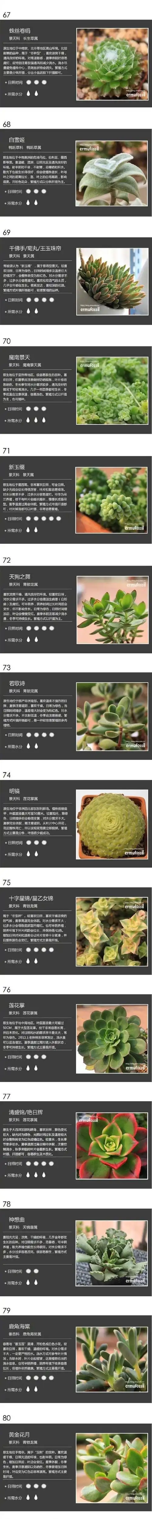 100种多肉植物名称及多肉种植方法第一次这么齐全的,收!