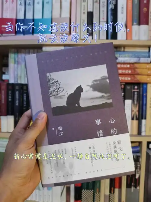 躁动的心无法安静就来读心的事情