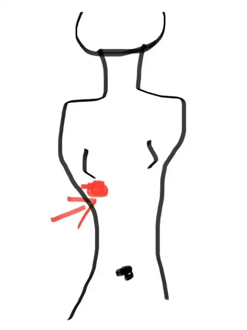 右胸下面的排骨里疼是怎么回事